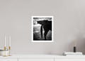 25 x 31,1 cm, Unframed (Hahnemühle Photo Rag Baryta) Two NEW