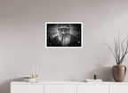 60 x 40 cm, Unframed (Hahnemühle Photo Rag Baryta) Paul NEW