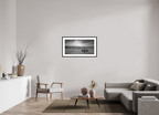 98 x 50 cm, Framed Passepartout (Hahnemühle Photo Rag Baryta) Traveling Prairie Bison NEW
