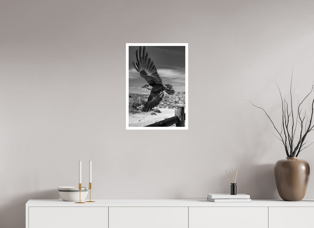 40 x 57,1 cm, Unframed (Hahnemühle Photo Rag Baryta) Raven's Flight NEW