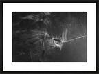 Main image Fade NEW