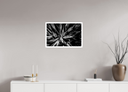 60 x 40 cm, Unframed (Hahnemühle Photo Rag Baryta) In Bloom NEW