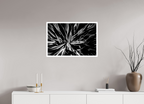 75 x 50 cm, Unframed (Hahnemühle Photo Rag Baryta) In Bloom NEW