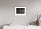 45 x 30 cm, Framed Passepartout (Hahnemühle Photo Rag Baryta) Fade NEW