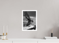 25 x 35,7 cm, Unframed (Hahnemühle Photo Rag Baryta) Raven's Flight NEW