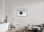 75 x 50 cm, Framed Passepartout (Hahnemühle Photo Rag Baryta) One NEW