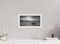 39,2 x 20 cm, Unframed (Hahnemühle Photo Rag Baryta) Traveling Prairie Bison NEW
