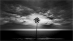 Main image Against The Wind
