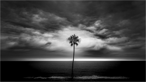 Main image Against The Wind
