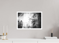 45 x 30 cm, Unframed (Hahnemühle Photo Rag Baryta) Frozen Shine