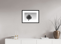 45 x 30 cm, Framed Passepartout (Hahnemühle Photo Rag Baryta) One NEW