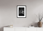 30 x 45 cm, Framed Passepartout (Hahnemühle Photo Rag Baryta) Schreckhorn NEW