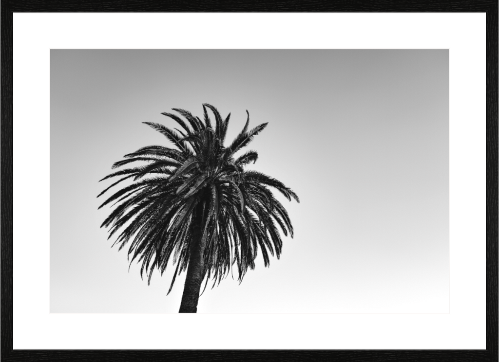 Main image One NEW