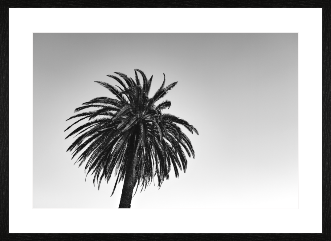 Main image One NEW