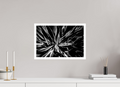 45 x 30 cm, Unframed (Hahnemühle Photo Rag Baryta) In Bloom NEW