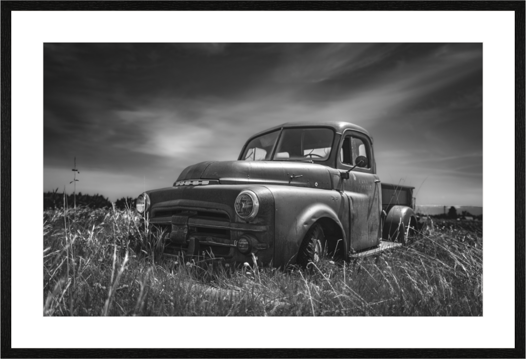 Main image Beauty In The Fields NEW