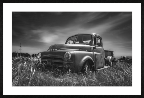 Main image Beauty In The Fields NEW